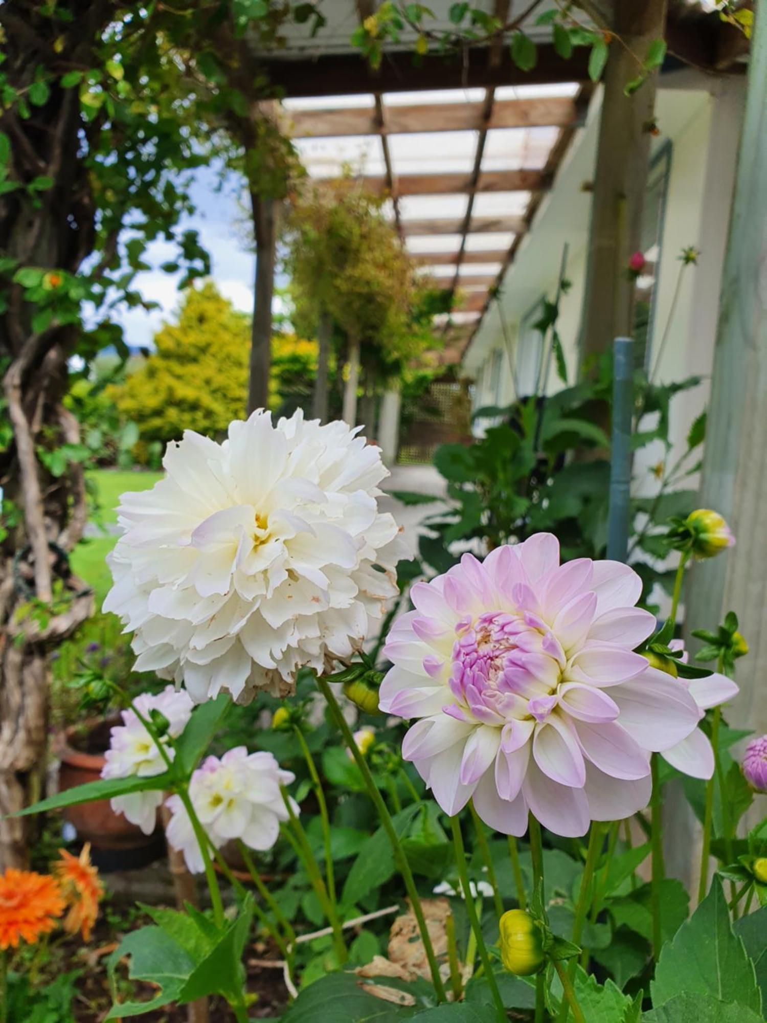 Tongariro Crossing Lodge ナショナル・パーク エクステリア 写真